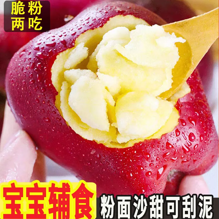 花牛苹果粉面甜婴儿刮泥辅食甘肃特产天水正宗原产地花牛蛇果水果