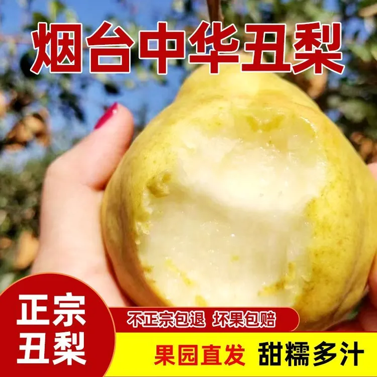 正宗山东烟台中华丑梨莱阳梨奇异水果新鲜软糯多汁特产包邮