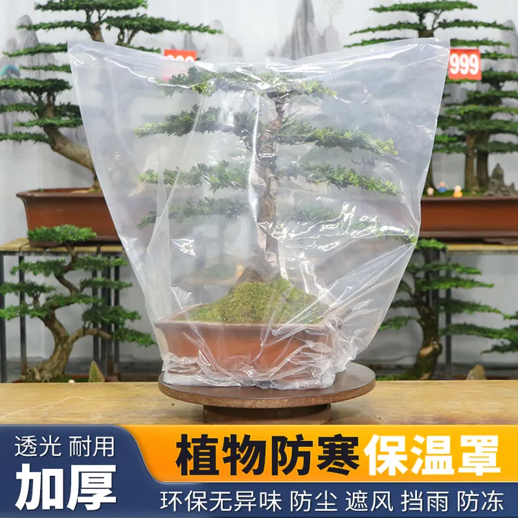 透明植物室外保温罩树木过冬防风防冻树罩室内盆栽花卉绿植防寒罩商品图
