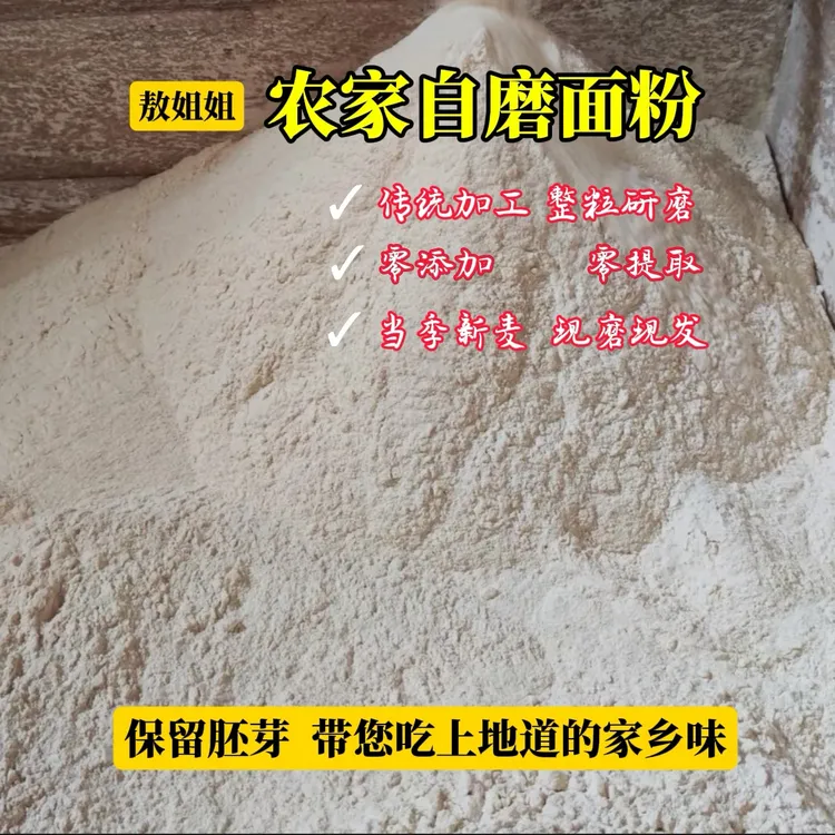 敖姐姐 陕西农家自磨面粉70粉 含胚芽小麦粉