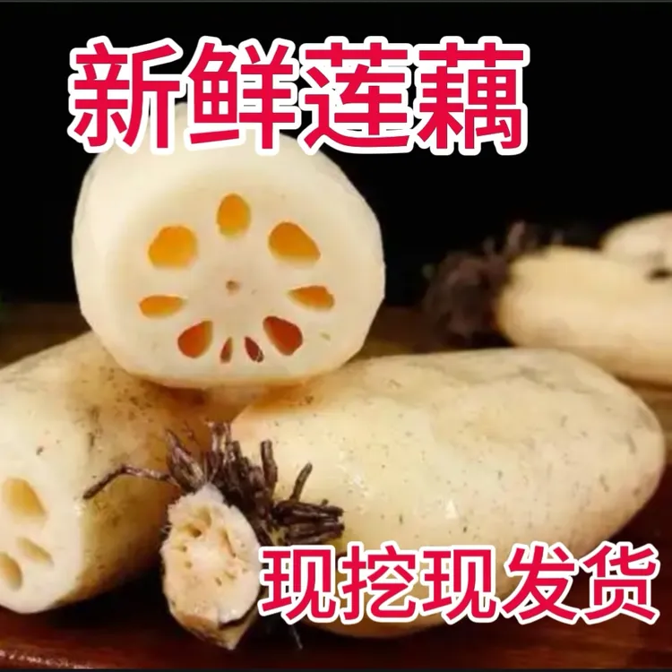 新鲜带泥莲藕现挖现发货可生吃  清炒 凉拌 炖汤  煮火锅（5斤装）