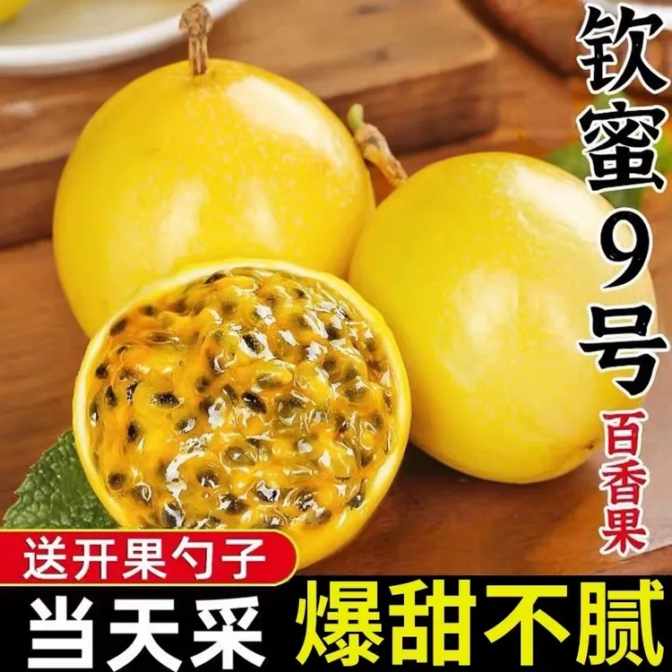 广西百香果黄金钦蜜9号新鲜包邮大果新鲜黄皮百香果原浆甜果酱