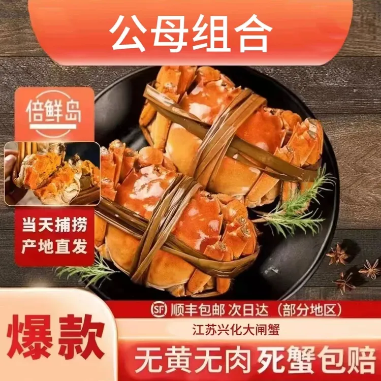 【活蟹簖腿】公3两4只/母2两4只江苏兴化大闸蟹