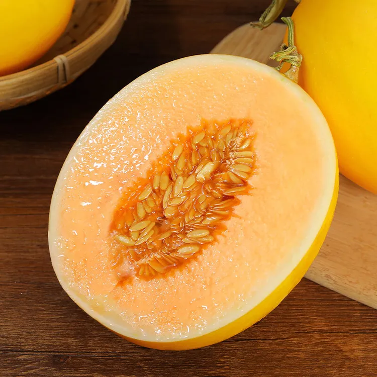 【爱心助力】甘肃民勤金红宝蜜瓜脆甜多汁   净重4-9斤D