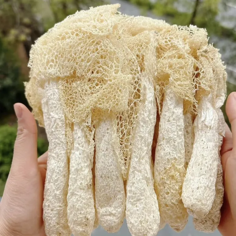当季采摘烘干无硫竹荪竹笙竹荪菌干货煲汤火锅好食材抖音新鲜