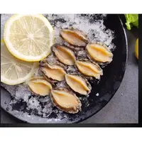 连云港发货 冷冻美味鲍鱼32只 美味饱满肥美烹饪食用