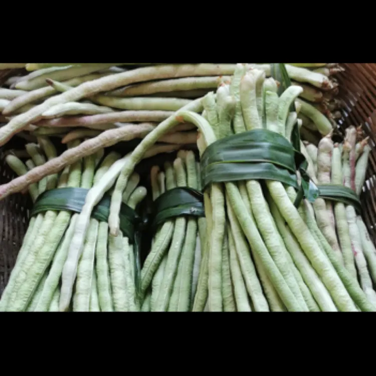 《贵州老品种豇豆》农家新鲜现摘现发豇豆胖豇豆混装豇豆花色豇豆。
