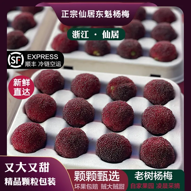杨梅新鲜当季仙居杨梅正宗浙江大东魁杨梅颗粒装孕妇水果现摘现发