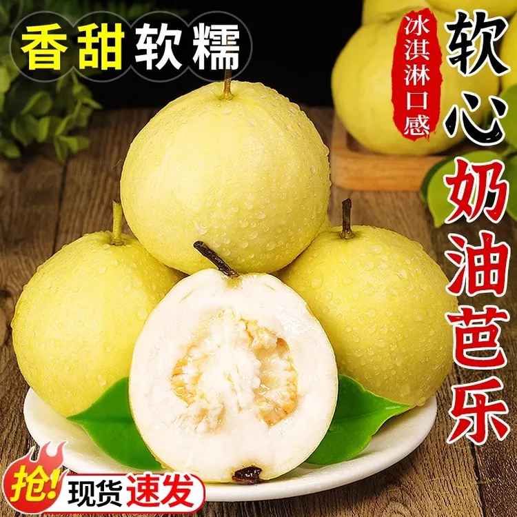 正宗广西奶油白心芭乐软糯香甜当季新鲜水果整箱批发5/3/1斤