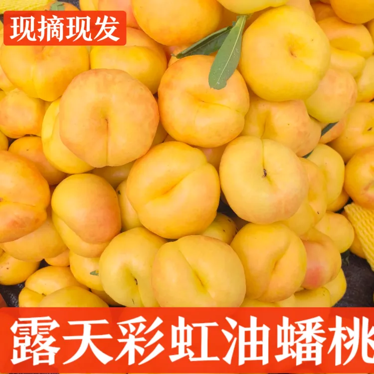 彩虹油蟠桃黄金蟠桃大桃子硬吃脆甜软吃香甜多汁新鲜应季水果批发