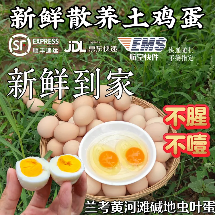 50枚散养土鸡蛋农家散养柴鸡蛋新鲜营养无抗自然兰考黄河滩虫叶蛋