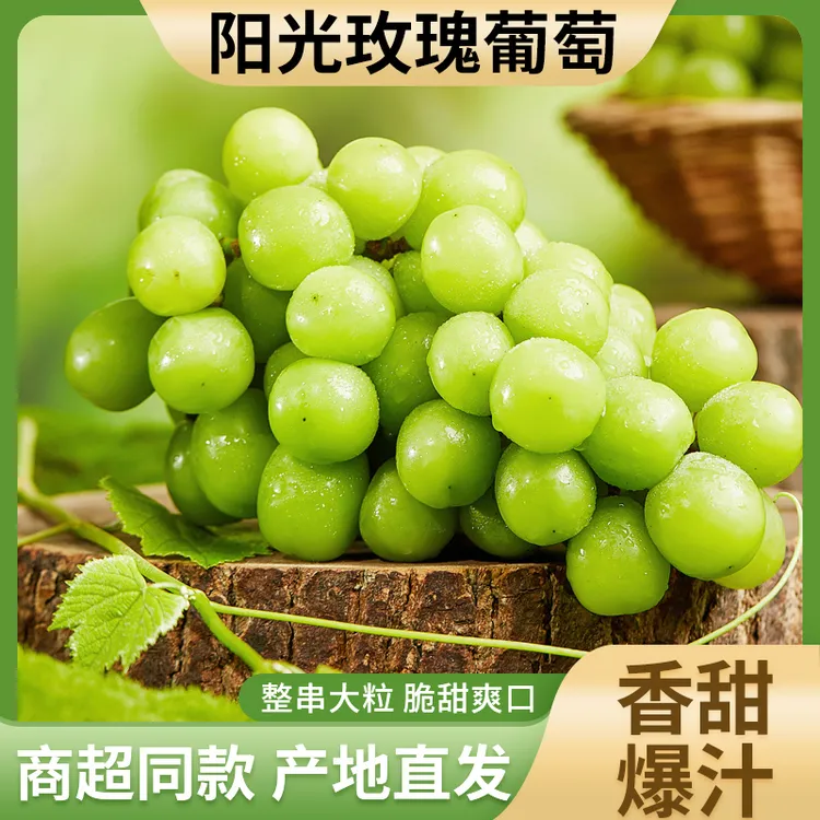 [极速包邮]正宗孕妇阳光玫瑰葡萄无籽新鲜采摘当季维生素c水果