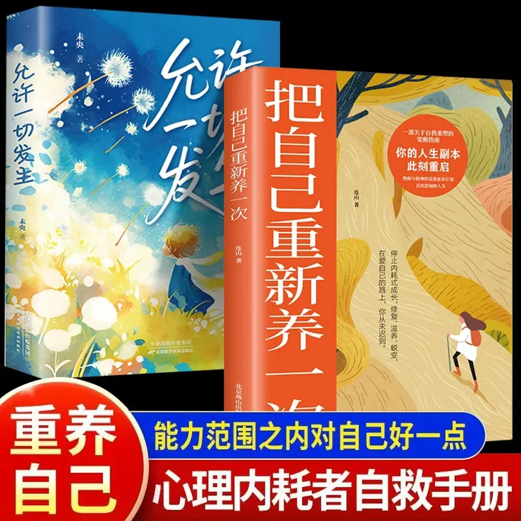 把自己重新养一次  学会与自己和解  停止内耗告别焦虑书籍