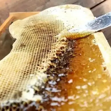 天然纯正百花蜜2000克四瓶四斤！