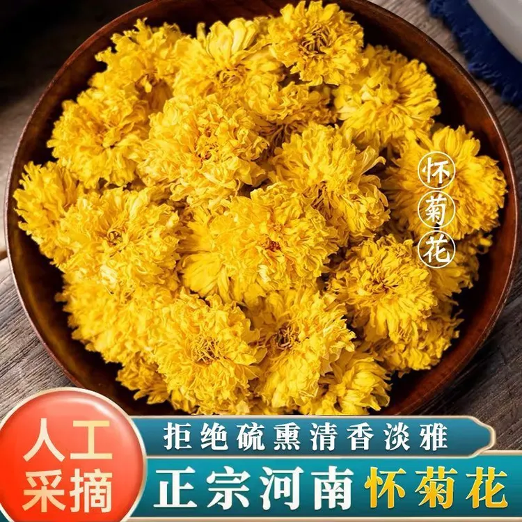 正宗怀黄菊河南焦作云台怀菊玲珑饱满菊花茶15g/罐无熏硫冷泡茶