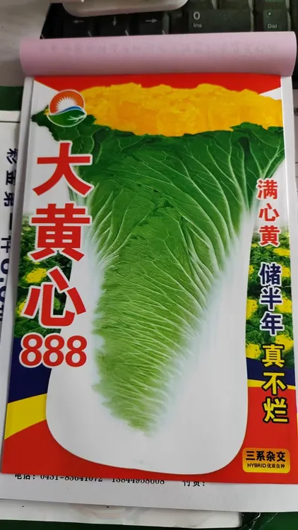 秋美乐大黄心888满黄心大白菜