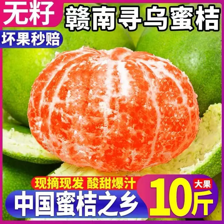 【寻乌蜜桔】现摘现发高山无籽青黄皮蜜桔当季应季水果孕妇佳品