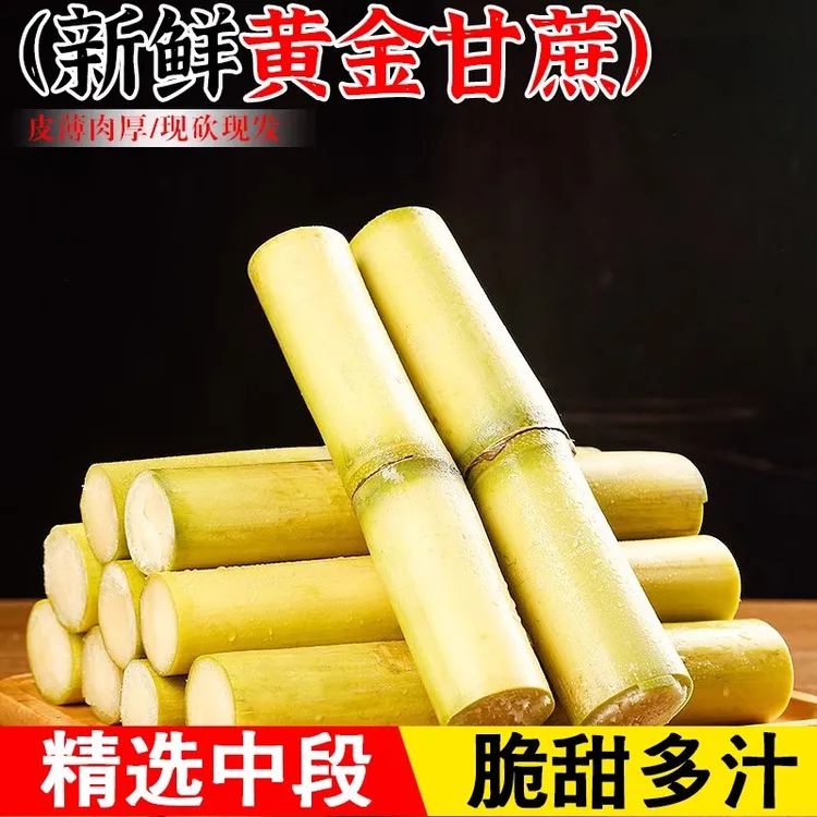广西黄金甘蔗顺丰当季现砍脆甜榨汁杆蔗甜杆果蔗一级甘蔗特产包邮