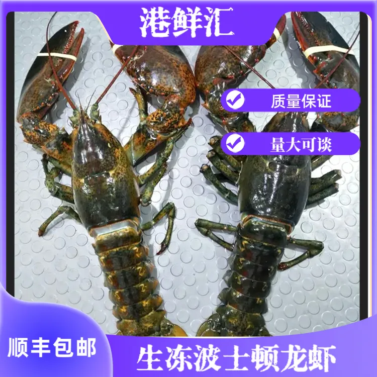 冷冻波士顿龙虾饱满可蒜蓉清蒸肉质紧实冷链空运包邮