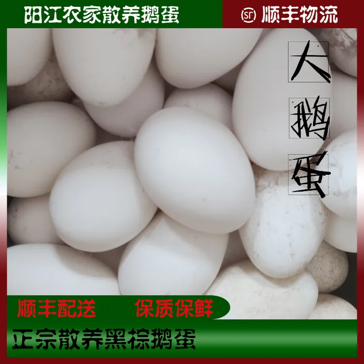 农家散养大鹅蛋黑棕鹅受精蛋生鹅蛋