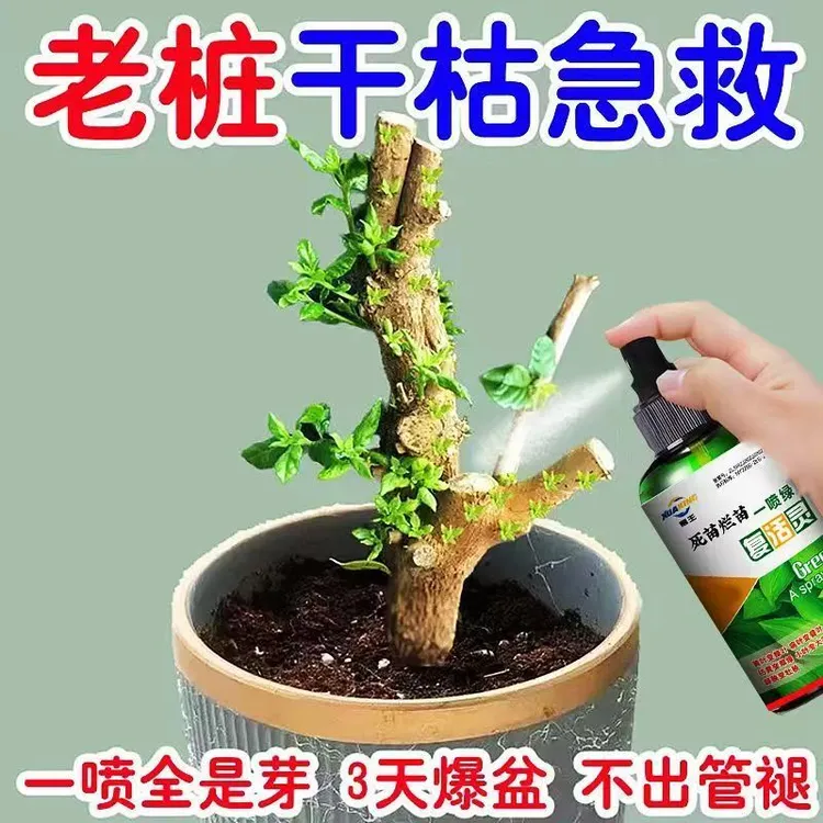 【新芽猛长】老桩催芽剂芽僵苗快速发新芽