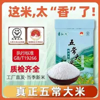 盘龙湖(试吃1斤)2025年东北五常大米当季新米长粒米10斤装