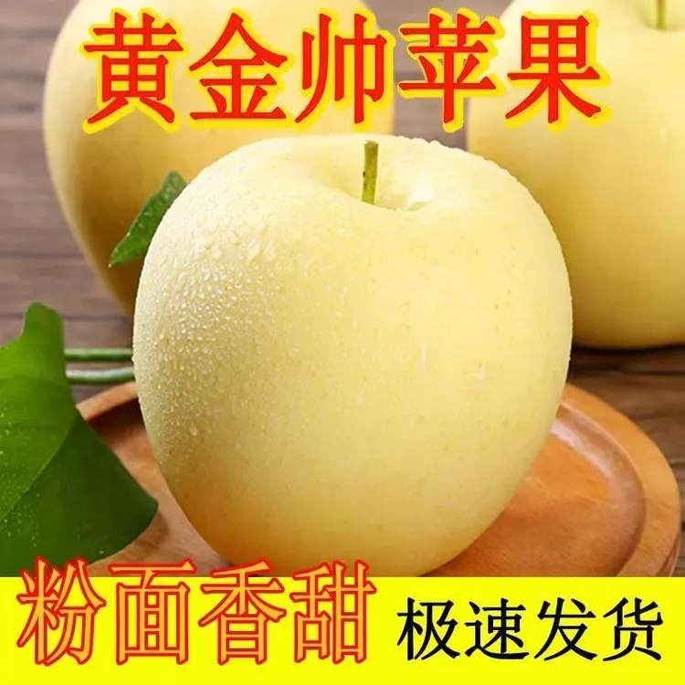 甘肃黄元帅苹果粉面香甜果香独特新鲜现发水果
