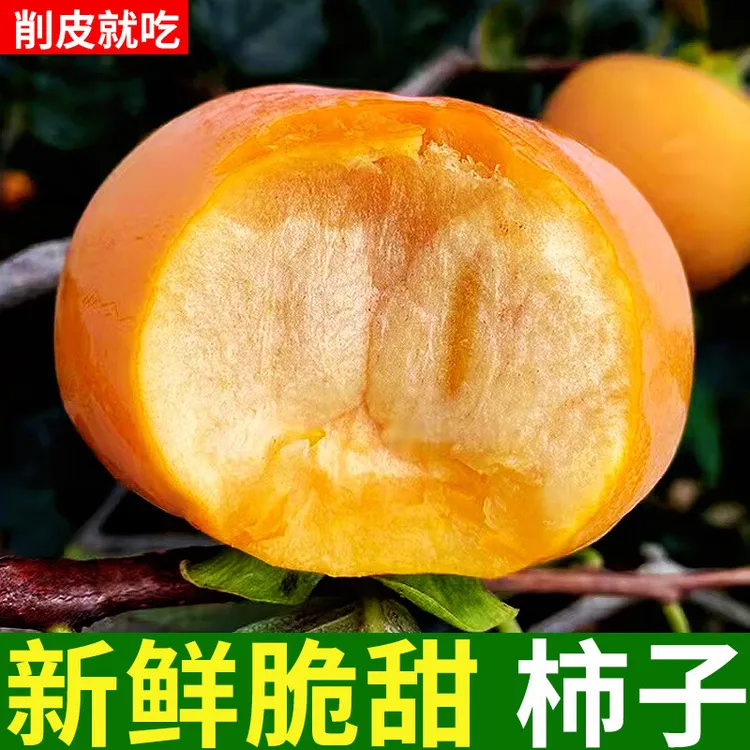 广西桂林高山甜脆柿子真空包装香甜多汁自然熟冰糖心柿子应季水果