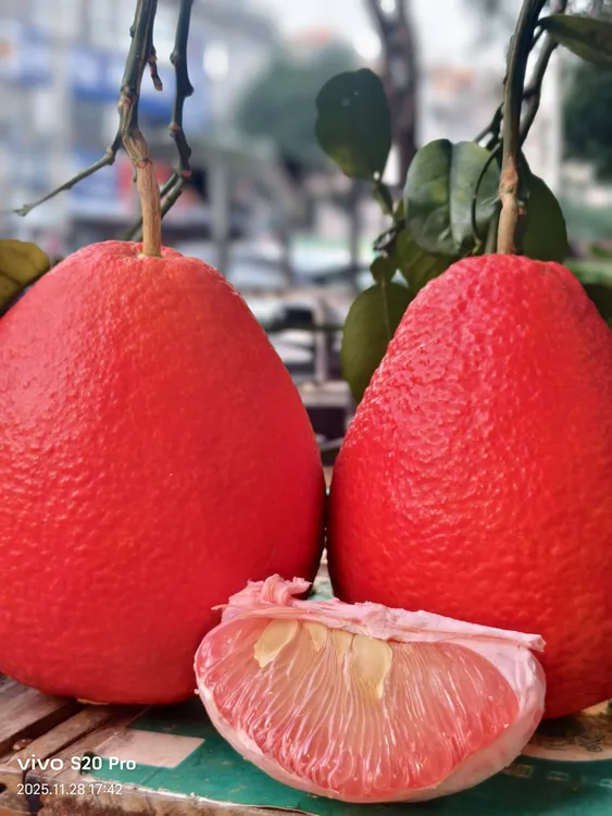 正宗容县香水红柚红皮红肉乔迁结婚开业喜事必备