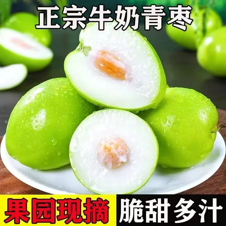 广西牛奶贵妃新鲜大青枣当季水果清甜多汁1/2/3/5/9斤整箱包邮