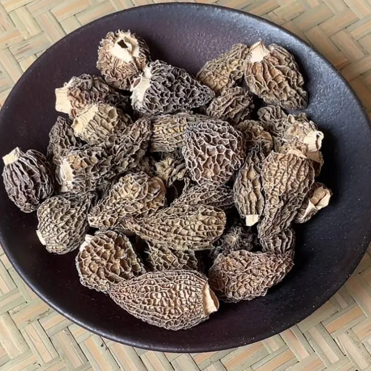 【小羊肚菌】2025年新货好货干货正宗珍品云南山珍特产菌菇