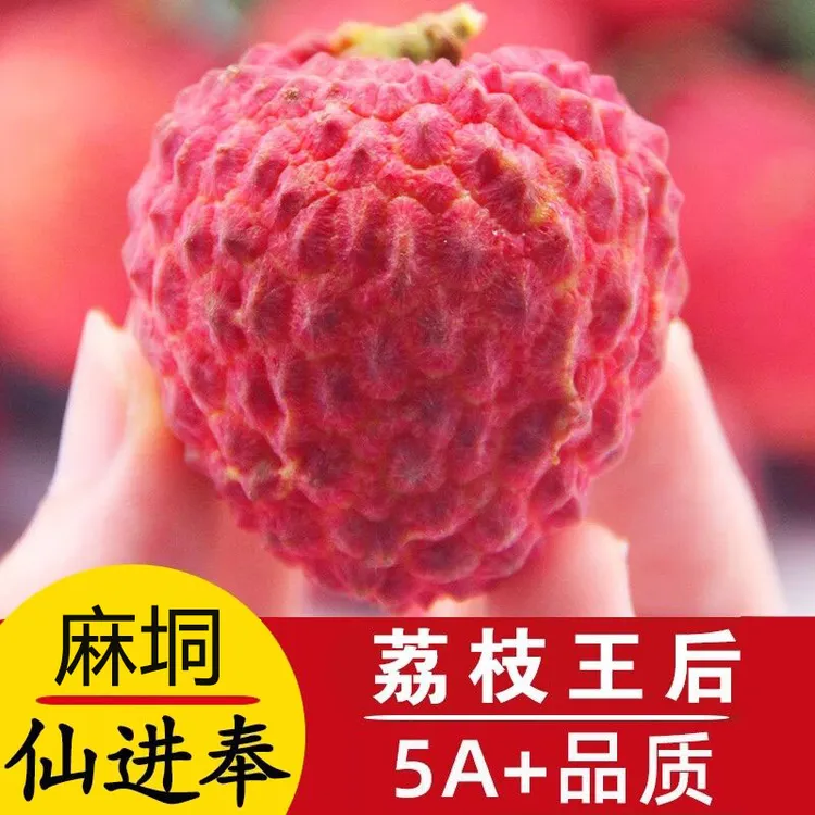 【中通冷链】广西桂平老树仙进奉现摘现发荔枝皇后当季水果鲜嫩多汁