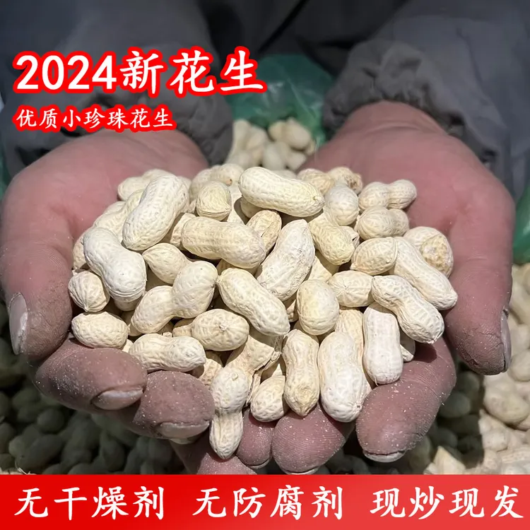 【精选新果】蒜香五香奶香核桃柴火多味小珍珠花生休闲零食坚果炒货