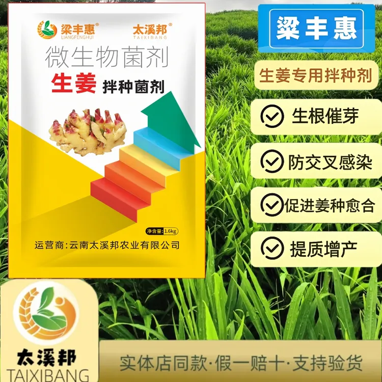 梁丰惠生姜专用拌种剂一包拌种400单斤