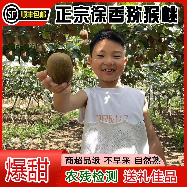 【无农残】正宗眉县徐香猕猴桃自家果园自然成熟顺丰包邮假一赔十