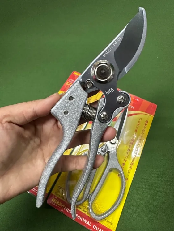 进口SK5果树修枝剪刀强力园艺修剪树枝园林省力修花枝剪剪刀