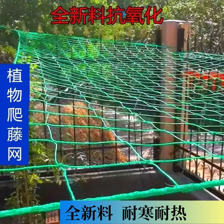 【植物爬藤网】果园种植网丝瓜蔬菜百香果葡萄爬藤网防护网藤蔓网