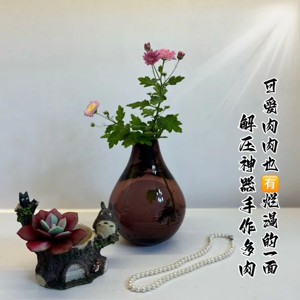 客厅餐厅办公室插花适用，养不死的纯手工多肉材料包