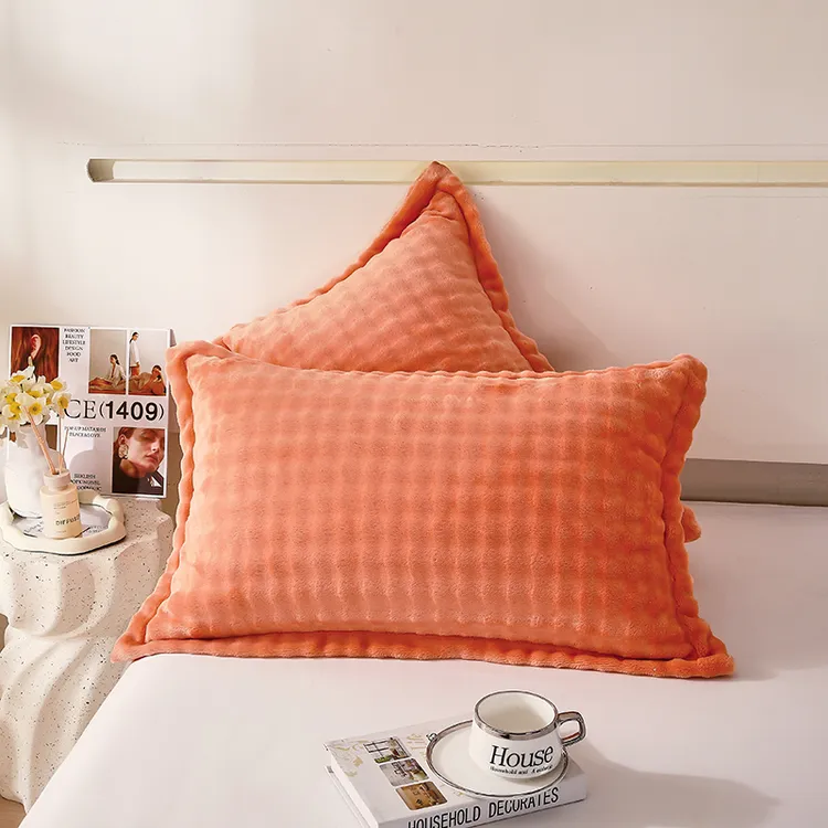 枕套一对装保暖枕套牛奶绒成人家用加厚冬季绒枕套48×74cm枕头套