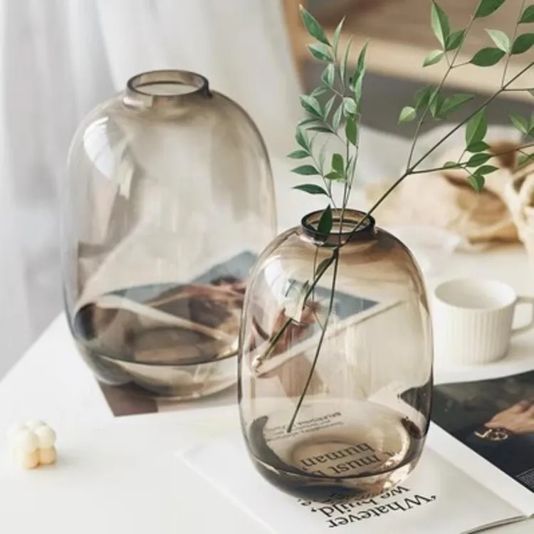 网红简约喜悦大肚瓶水养龙柳ins马醉木家居生活卧室简约插花摆件