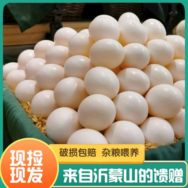 新鲜鸽子蛋白鸽蛋沂蒙山农家五谷杂粮喂养非鹌鹑蛋孕妇宝宝营养