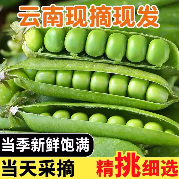 （现摘现发）云南新鲜甜脆水果豌豆带壳农家露天种植青豌豆颗粒饱满商品图