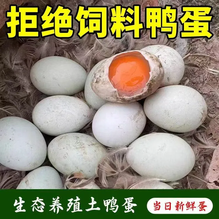 农家30枚自产鸭蛋新鲜散养鸭蛋土鸭蛋麻鸭蛋农家散养绿壳生鸭蛋