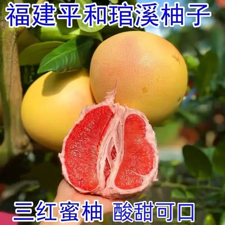 【十七专属】【福建】正宗平和琯溪三红蜜柚4.5/8.5斤装酸甜多汁产地直发
