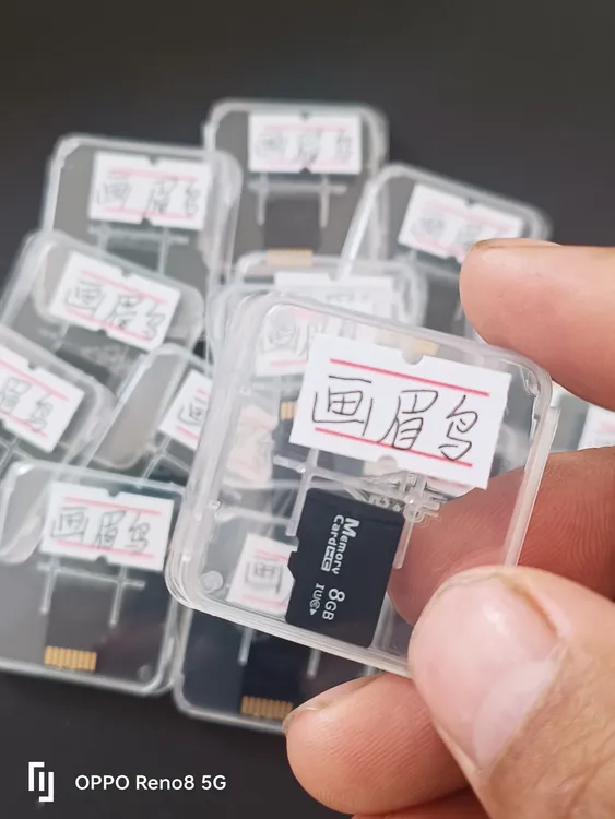 画眉鸟媒音卡户外聆听12首