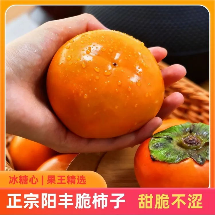 脆甜柿子精选应季硬柿子巧克力水果柿子阳丰山西柿之乡
