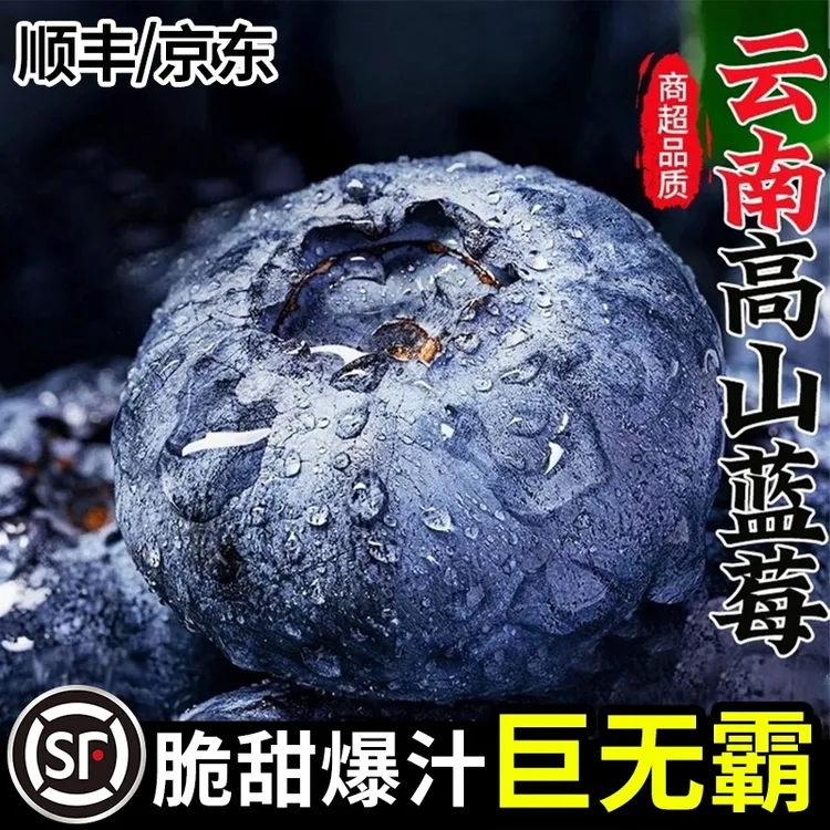 Y1【顺丰JD】云南脆甜蓝莓巨无霸15-24mm＋原产地现摘现发
