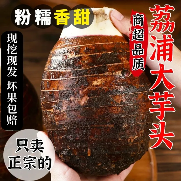 广西正宗荔浦芋头新鲜现挖粉糯香芋当季蔬菜毛芋头整箱批发大芋