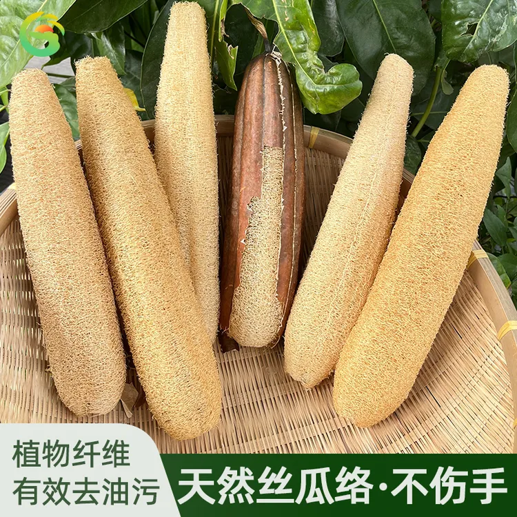 农家天然丝瓜络老丝瓜瓤刷锅洗碗神器水瓜筋百洁布去油去污搓澡巾