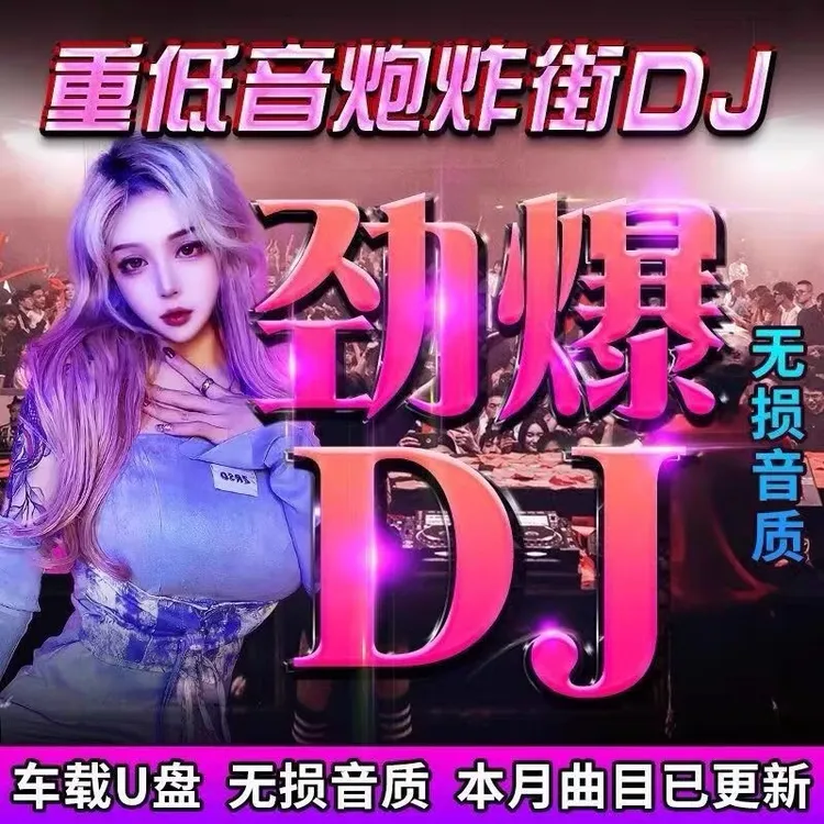 经典流行车载u盘中文dj歌曲音乐无损歌曲u盘2025款优盘